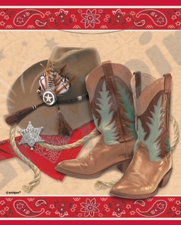 Taštičky Wild West
